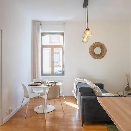Cozy, Renovated 2-room Near Strasbourg 3 People Apartment Schiltigheim